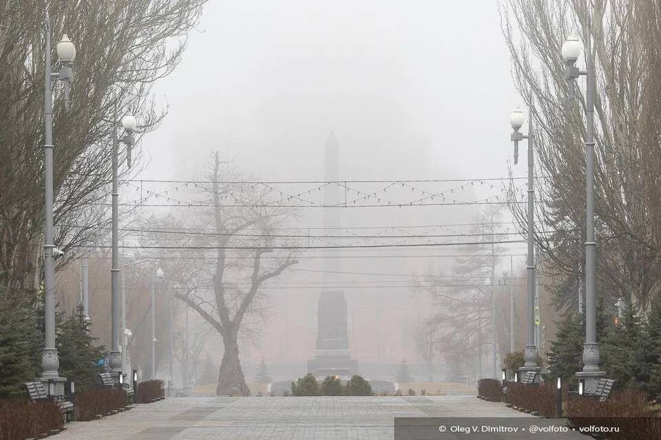    Фото: Олег Димитров / "Городские вести"
