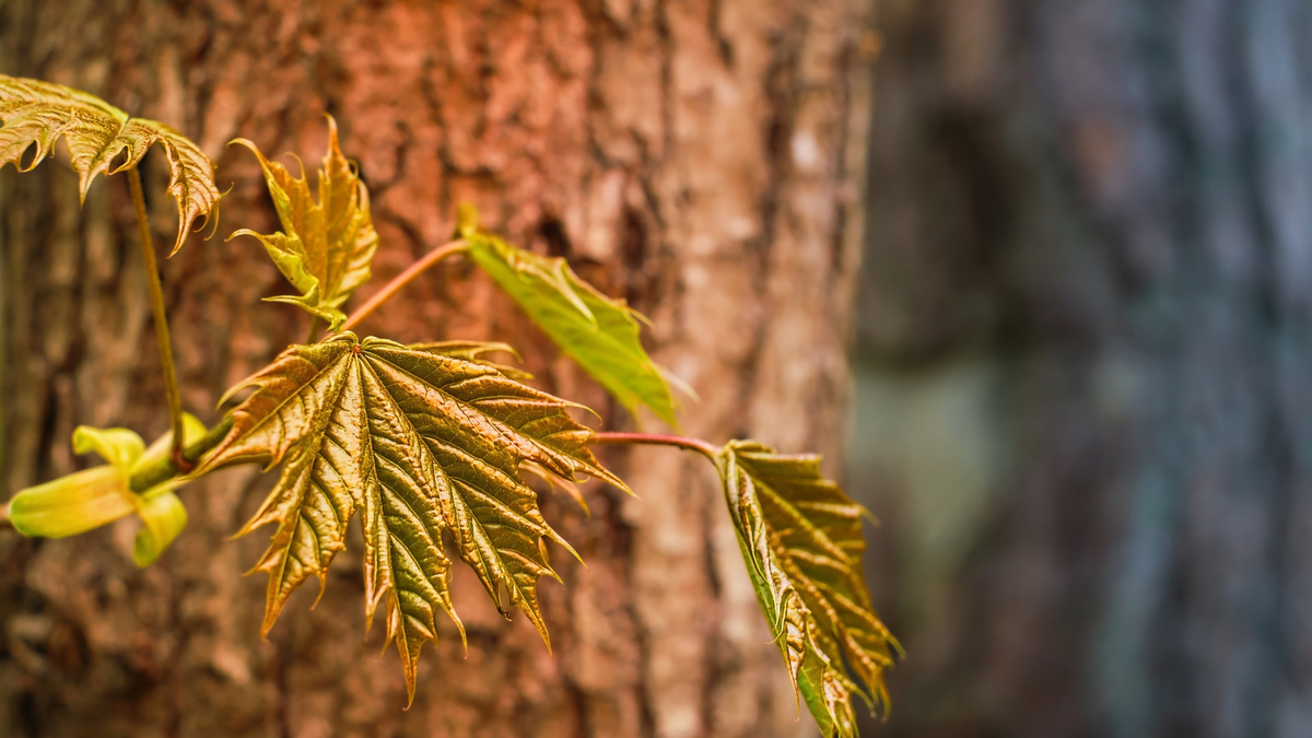    Фото: Freepic.com/@freepic