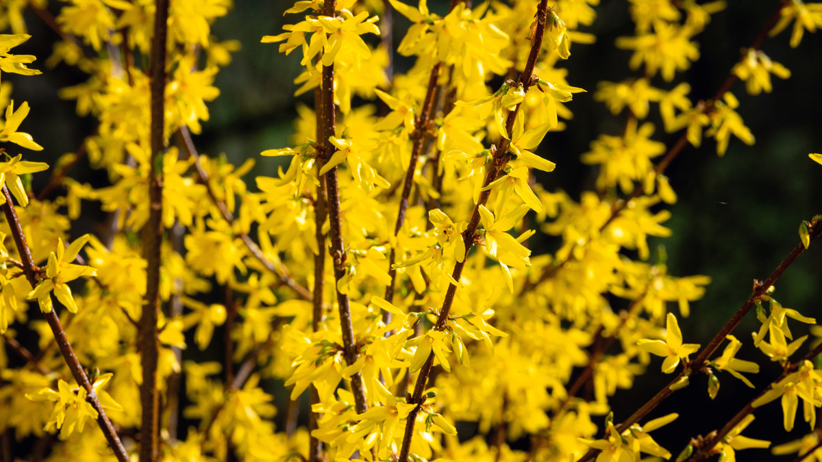    Фото: Freepic.com/@freepic