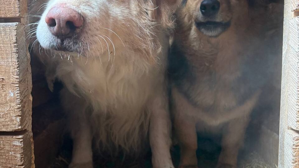 КТО-НИБУДЬ ОБЯЗАТЕЛЬНО ПОМОЖЕТ...