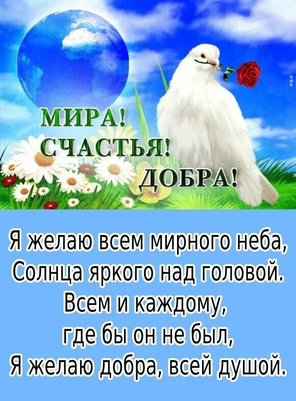 Из открытого источника Янлекса.