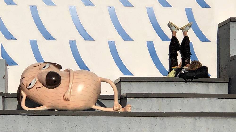    Фото: «Брянские новости»