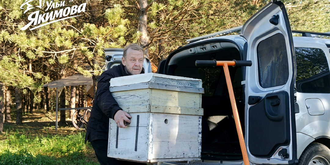 Почему я отказался от корпусных ульев и никому не советую работать с ними в одиночку