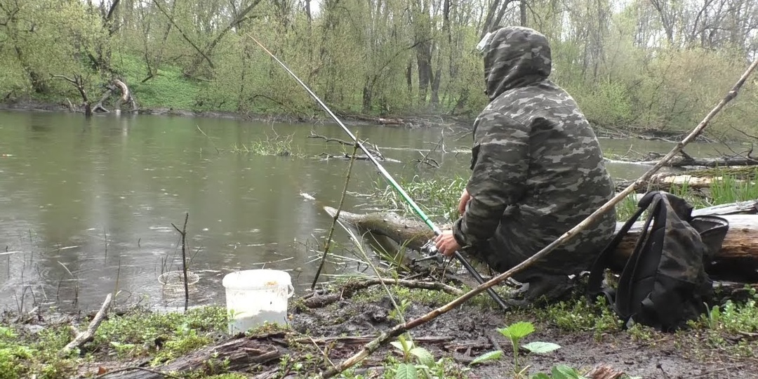 У плотвы начался жор?