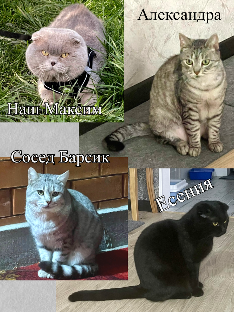 Вот, собственно, все герои сегодняшнего рассказа