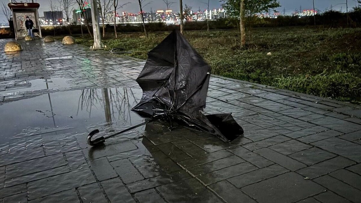    В Ростовской области ожидается до +21 градуса и туман   rostovgazeta.ru