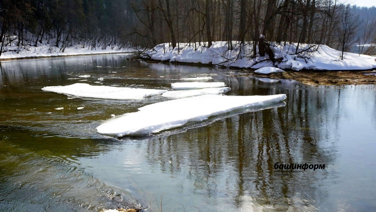 ФОТО ИА БАШИНФОРМ
