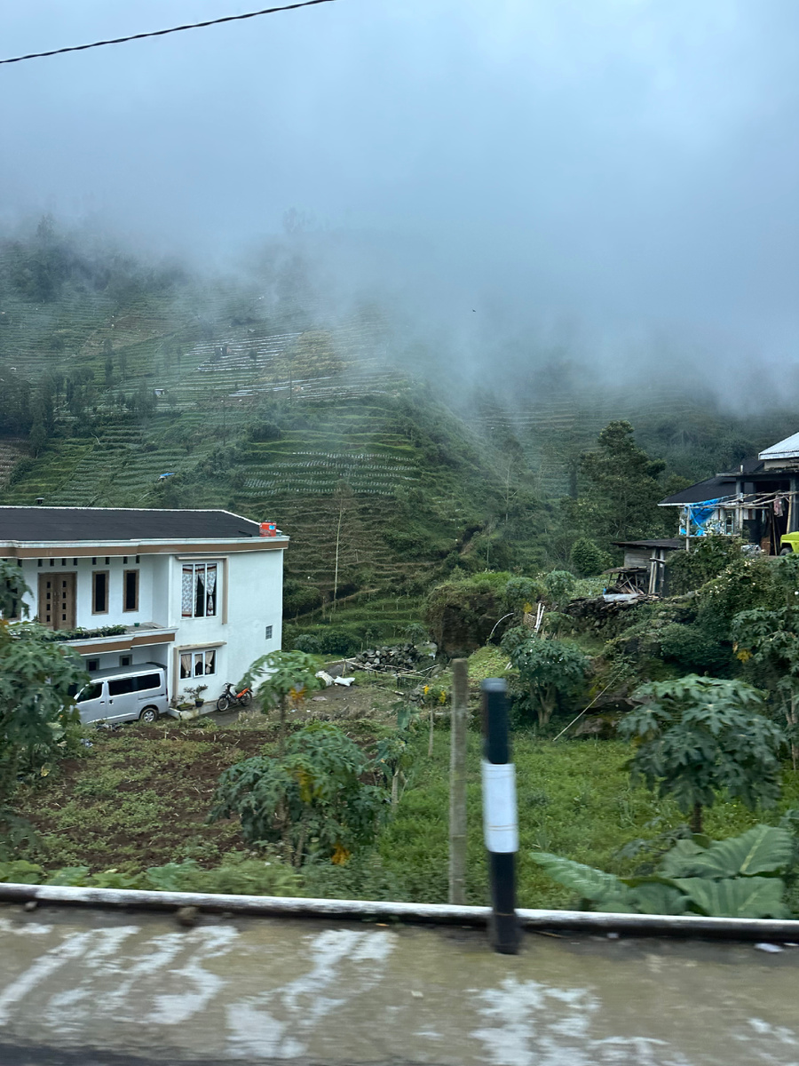 Огороды на склонах плато Диенг