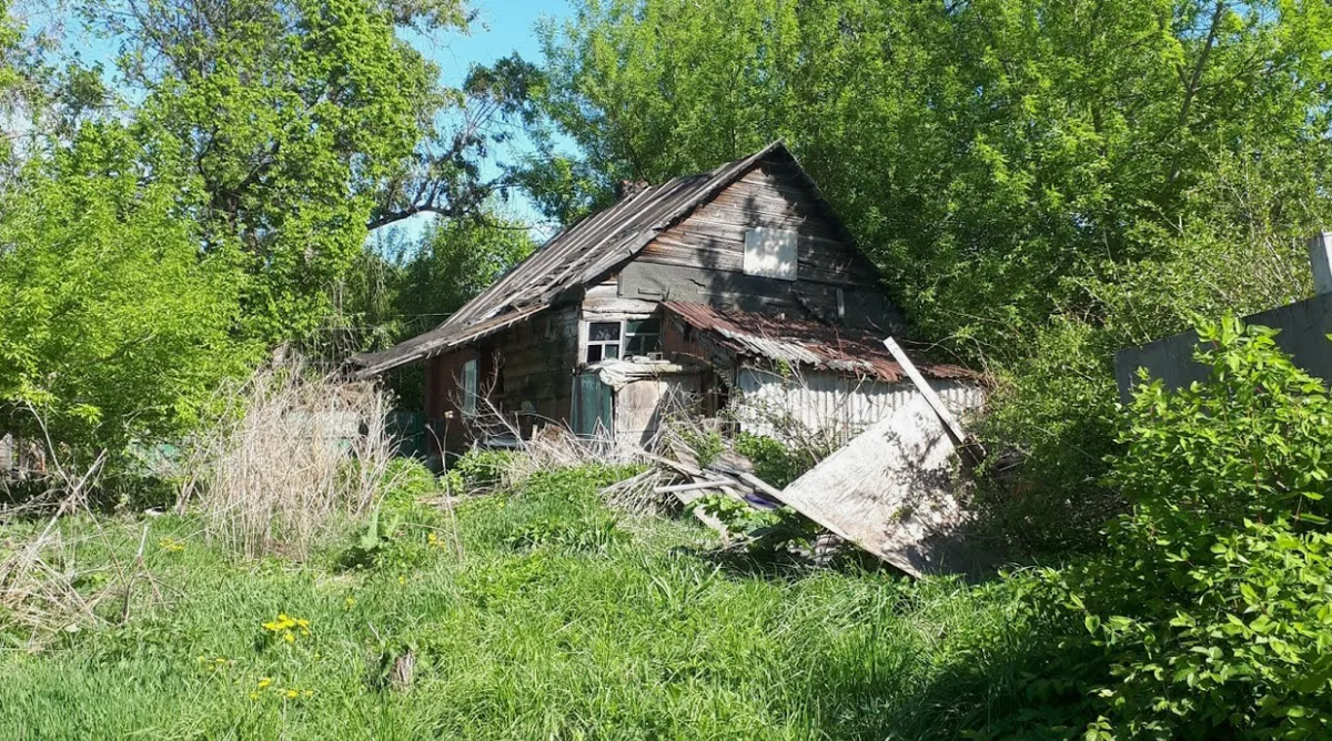 фото из открытых источников