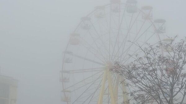    © Telegram Галина Огнева