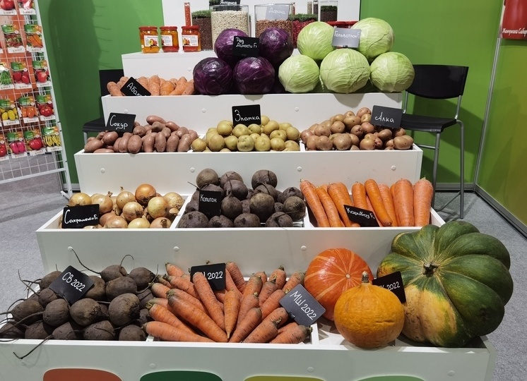 Инфляция в России снова пошла в рост — дорожают помидоры, бензин и медикаменты