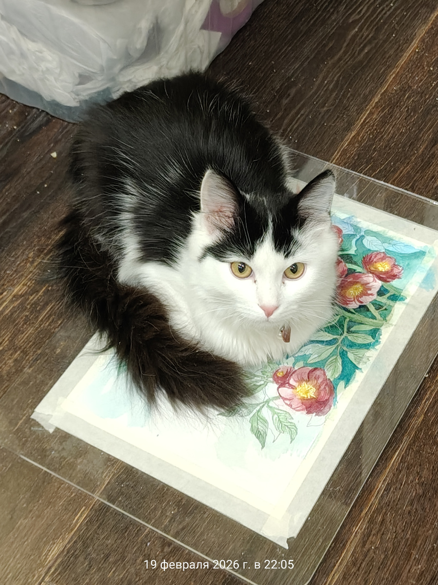 Матисс украсил собой цветочную поляну. 