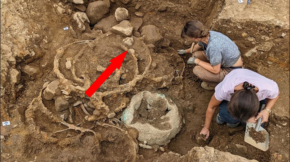    Раскопки в Англии раскрыли гигантские кладовые железного века, возможно связанные с могилой могущественной кельтской царицы