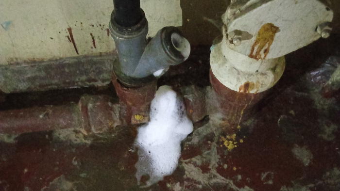    Фото: vk.com/omsk_live