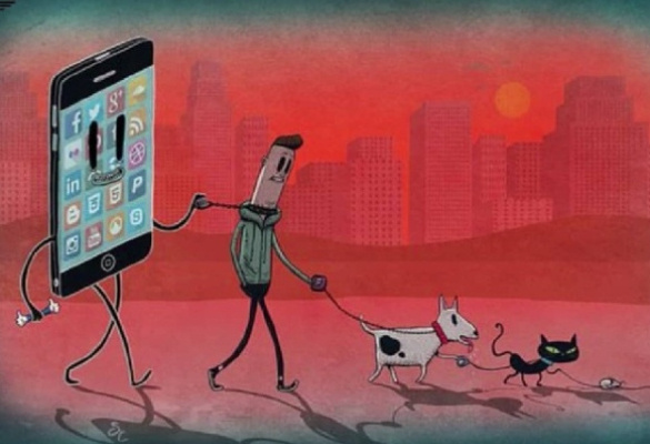 Источник изображения : Яндекс картинка.