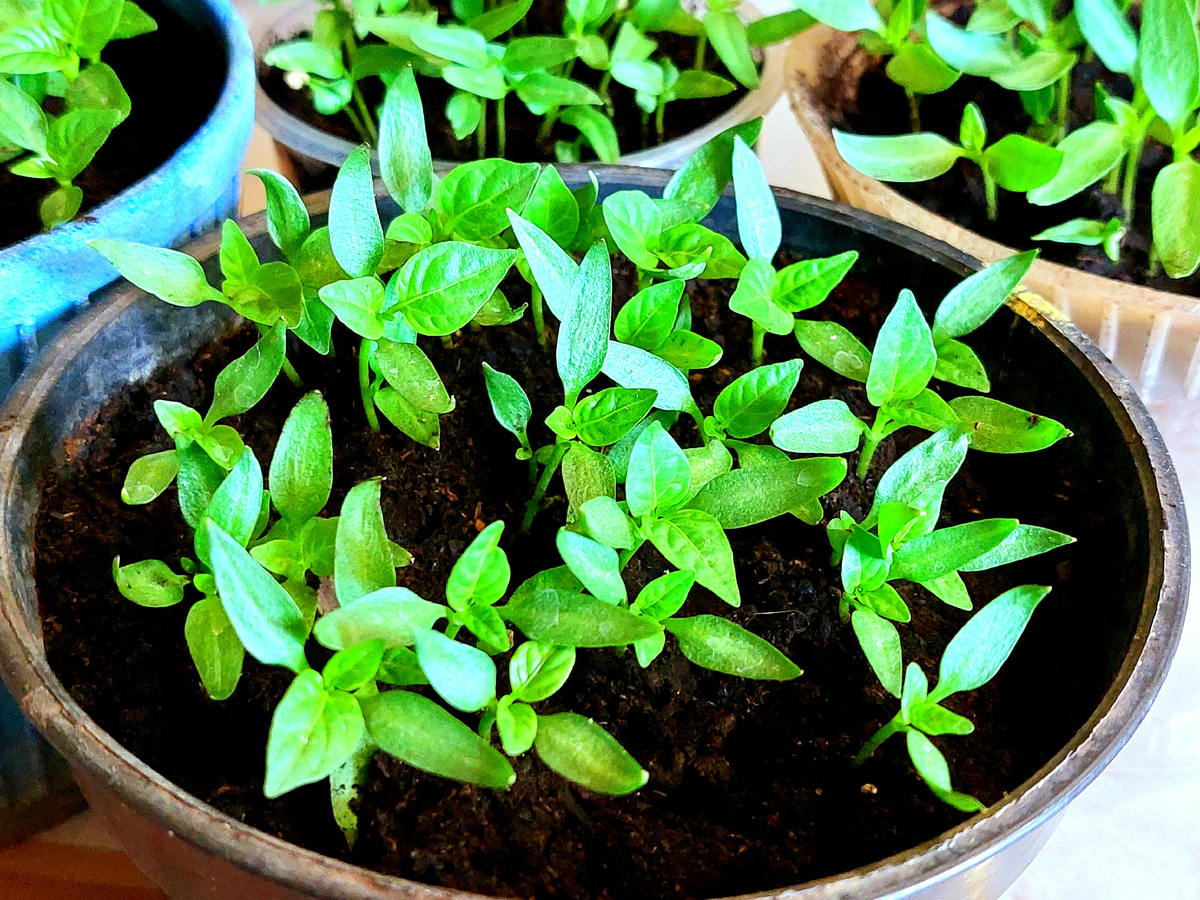 Фото автора канала 