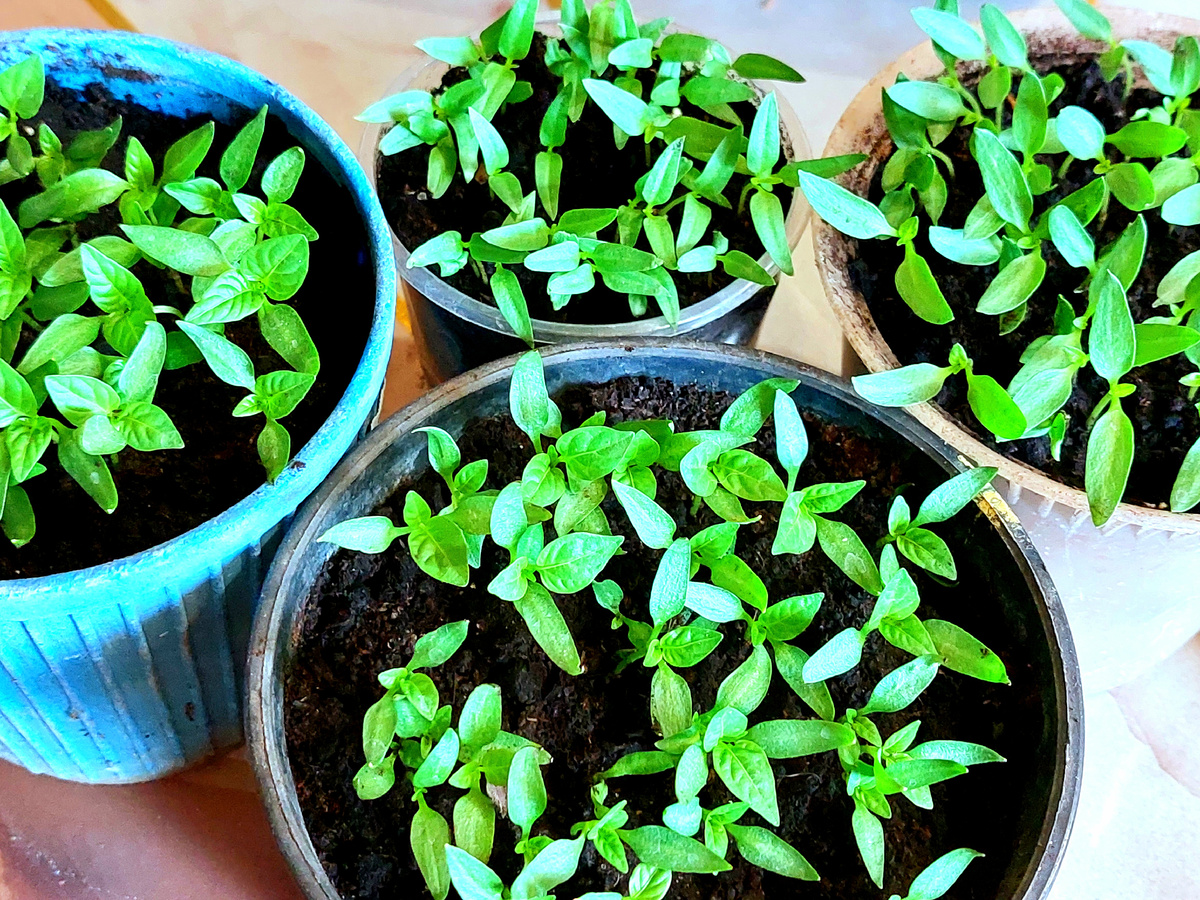 Фото автора канала 