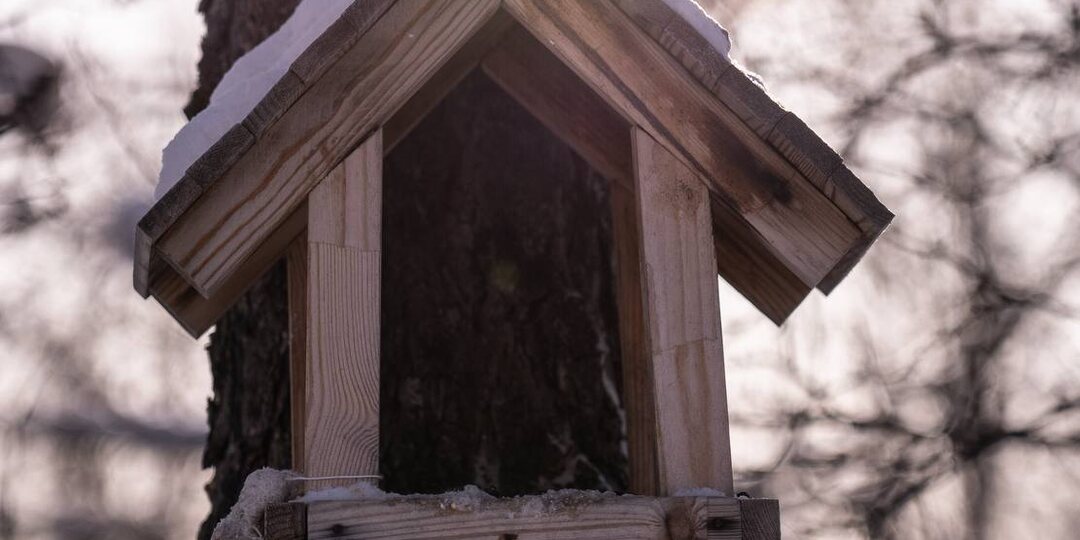 Солнечная, тёплая погода