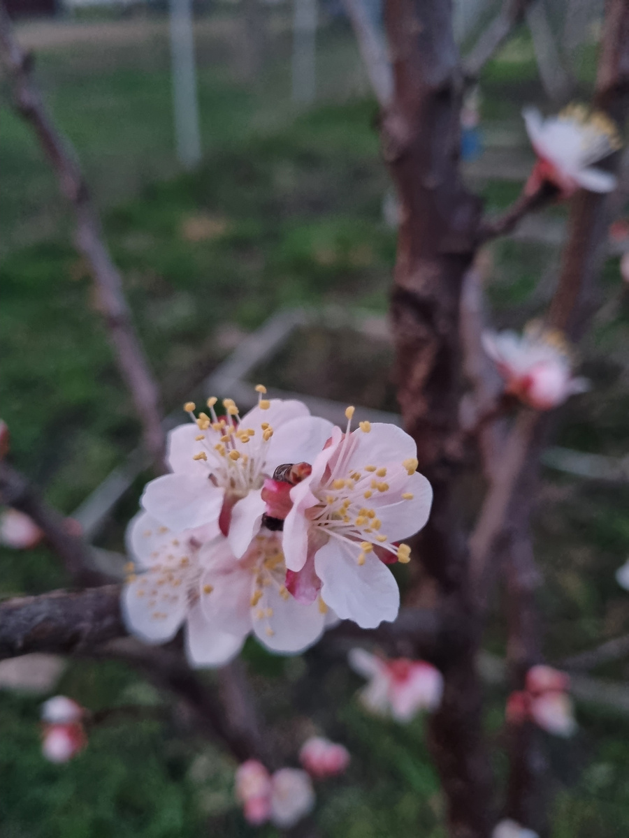 Найди 3 отличия