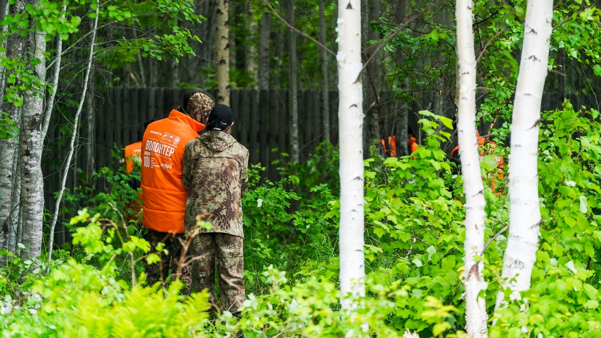    Югорчане могут присоединиться к Международному слёту волонтёров-поисковиков