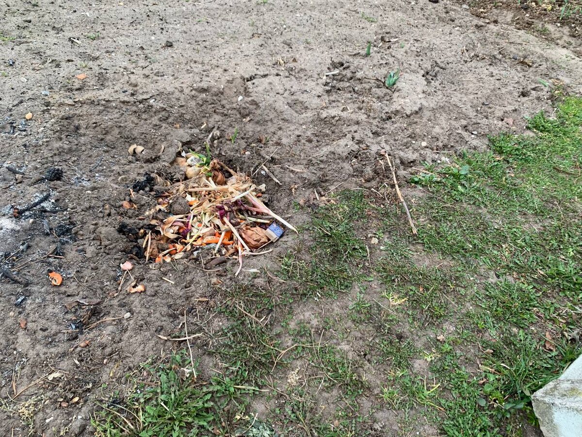 Пожилая родственница складывает пищевые отходы в стихийные траншеи. Фото автора 