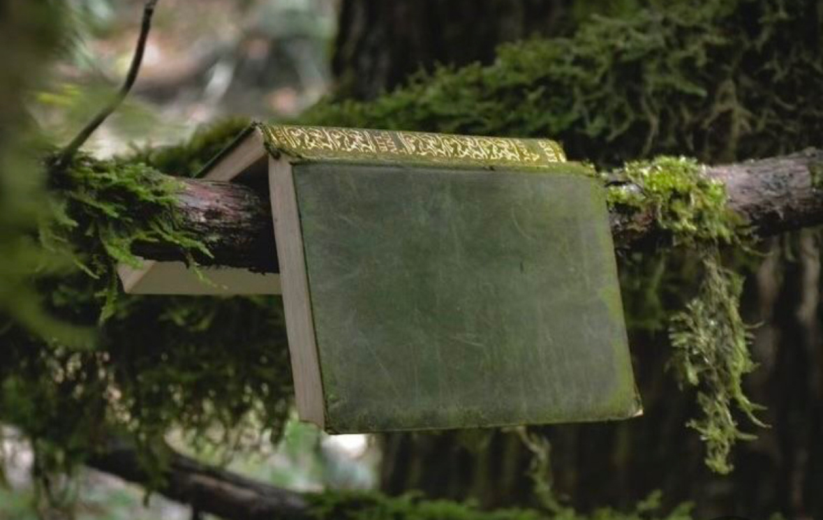 Садиться за стол с горячим чаем и свежей выпечкой, читать книгу