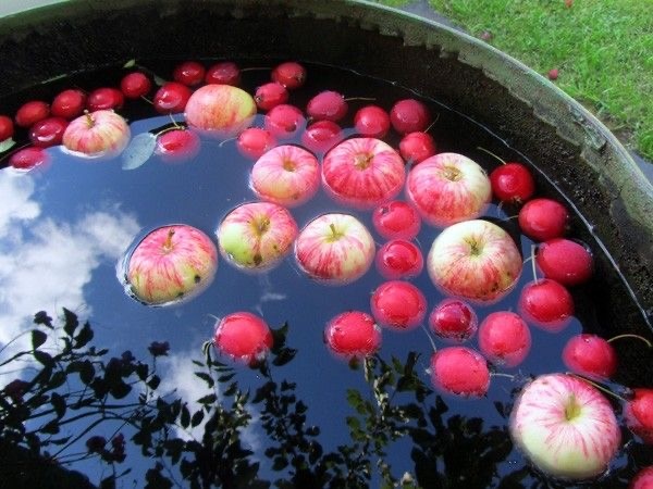 После жара часто следовал обливной ритуал