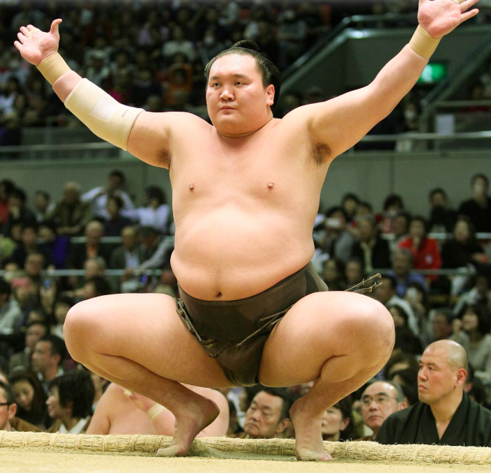  Поза сонкё в боевых искусства считается позой выражения почтения.