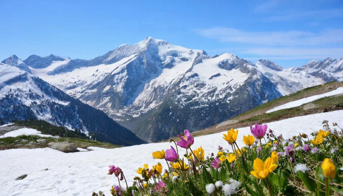 Мягкий и комфортный день, чтобы подводить промежуточные итоги.