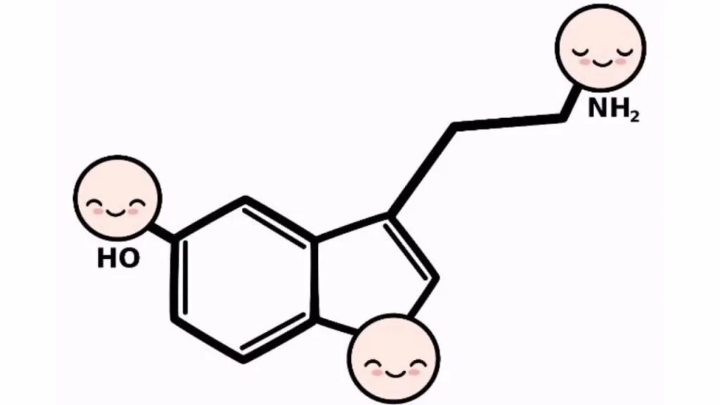 фото из открытого источника