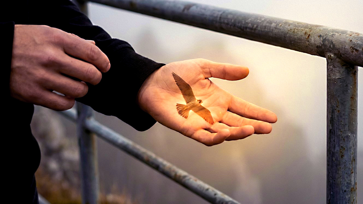 Роберт Адамс. 5 истин