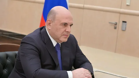 Мишустин. Источник изображения: сайт government.ru