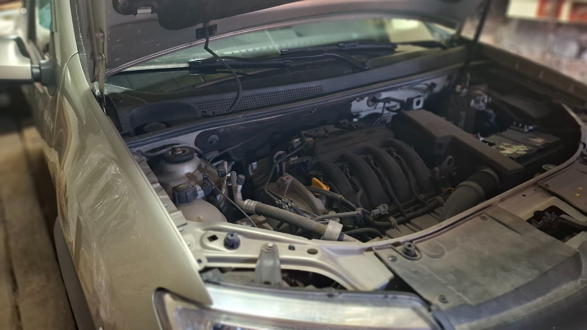 Работает, родная!