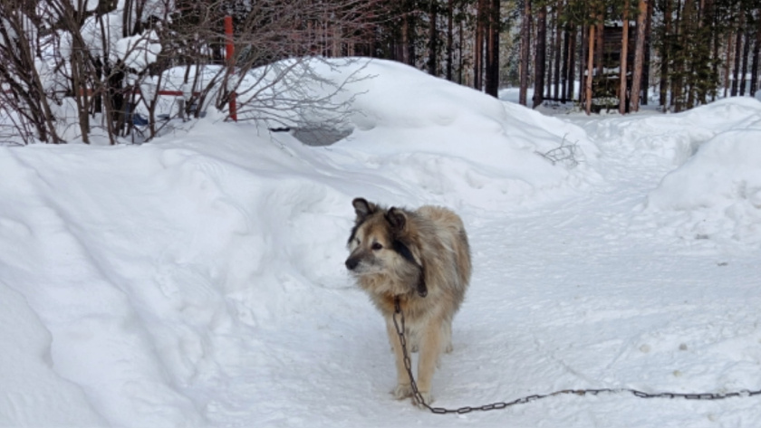    Фото "Про Город"