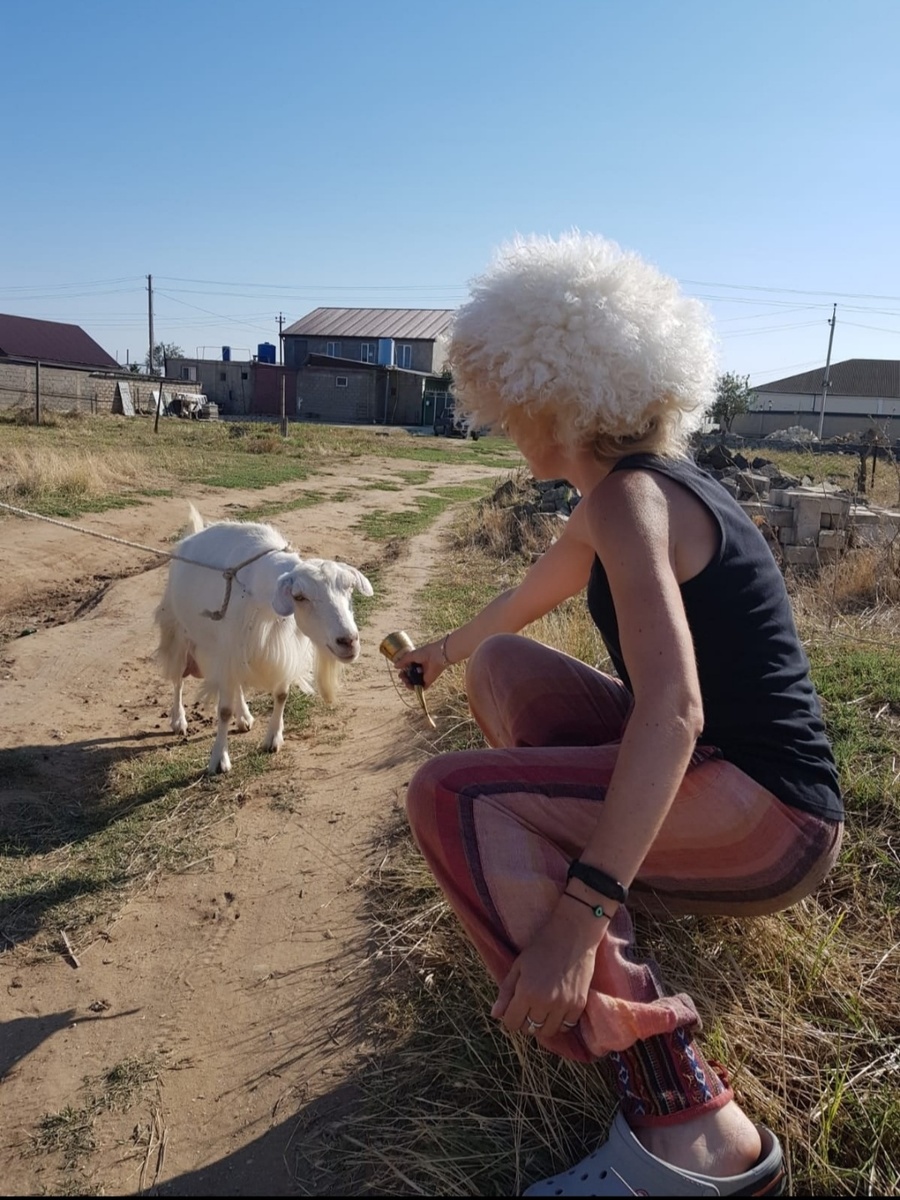 Наткнулась на фотку из Дагестана. Такой отдых мне нравится даже больше, чем пятизвездочные отели. Задумалась, бывают ли они в Дагестане 🤣