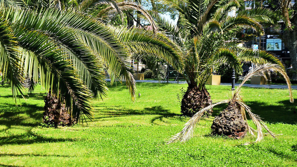 Фото: Борис Туниев