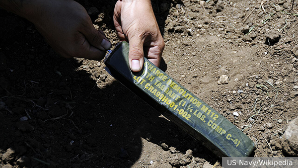     Фото: US Navy/Wikipedia   
 Текст: Вера Басилая