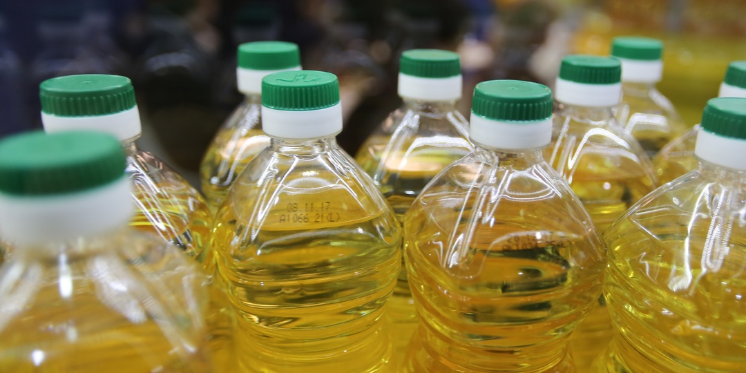 РСХБ: инвестиции в масложировую отрасль до 2030 года превысят 230 млрд рублей