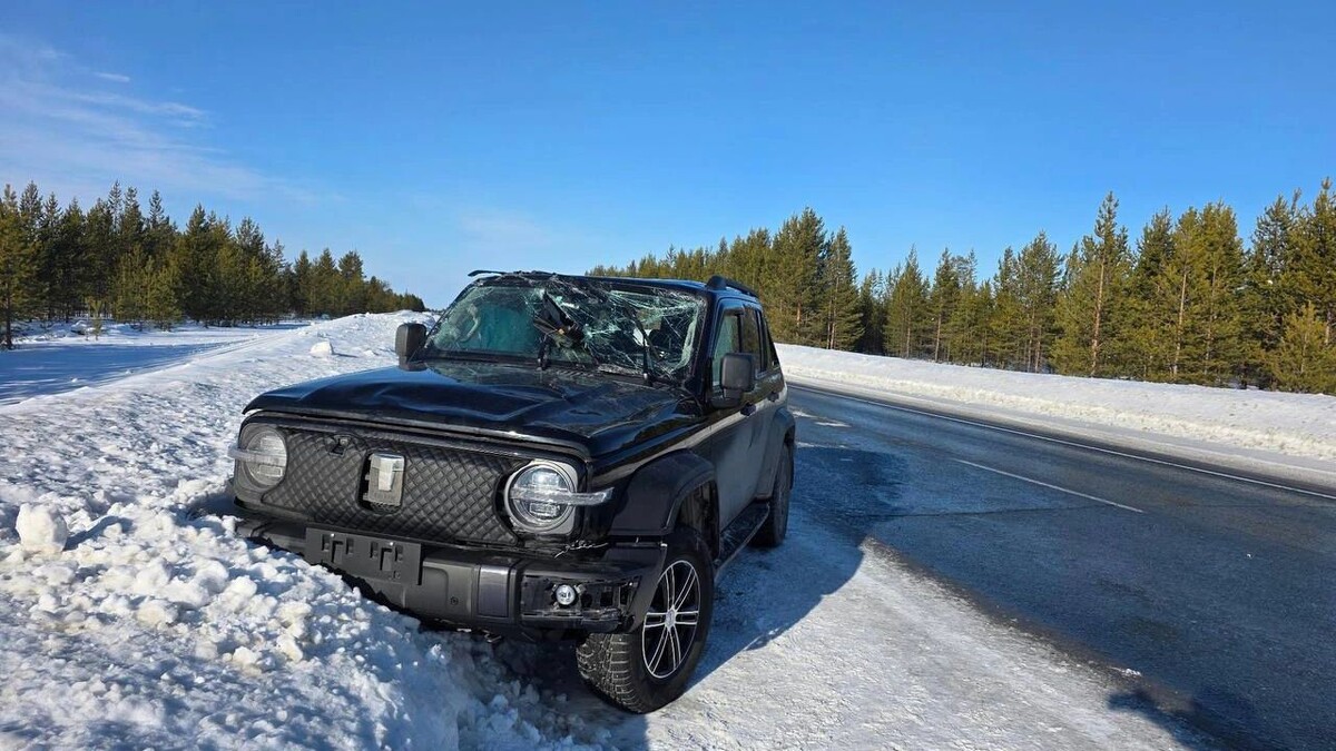    Фото предоставлено пресс-службой Госавтоинспекции ЯНАО