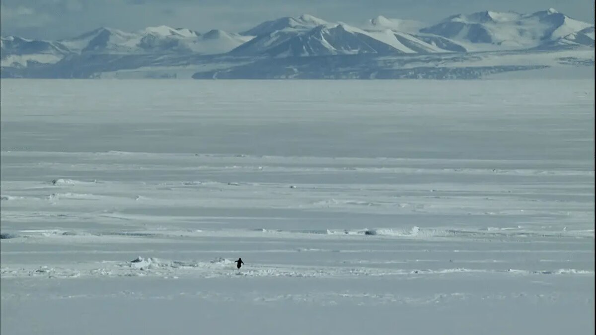    Источник: naked-science.ru Виктория Николаева