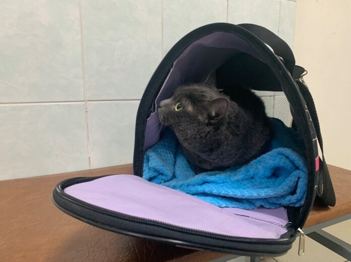    Фото: Ольга Гилёва