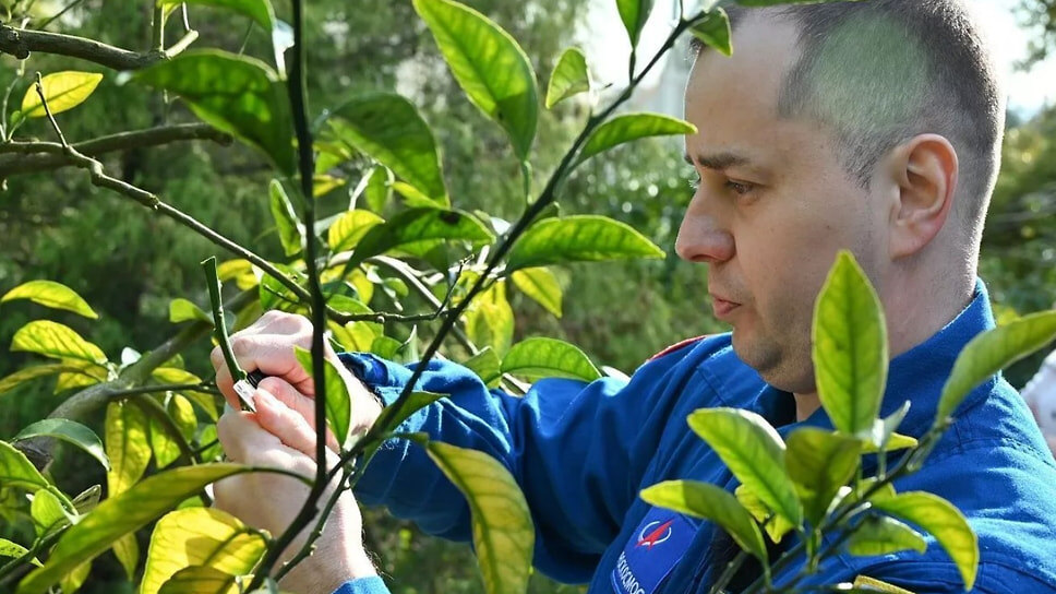 Фото: пресс-служба администрации Сочи
