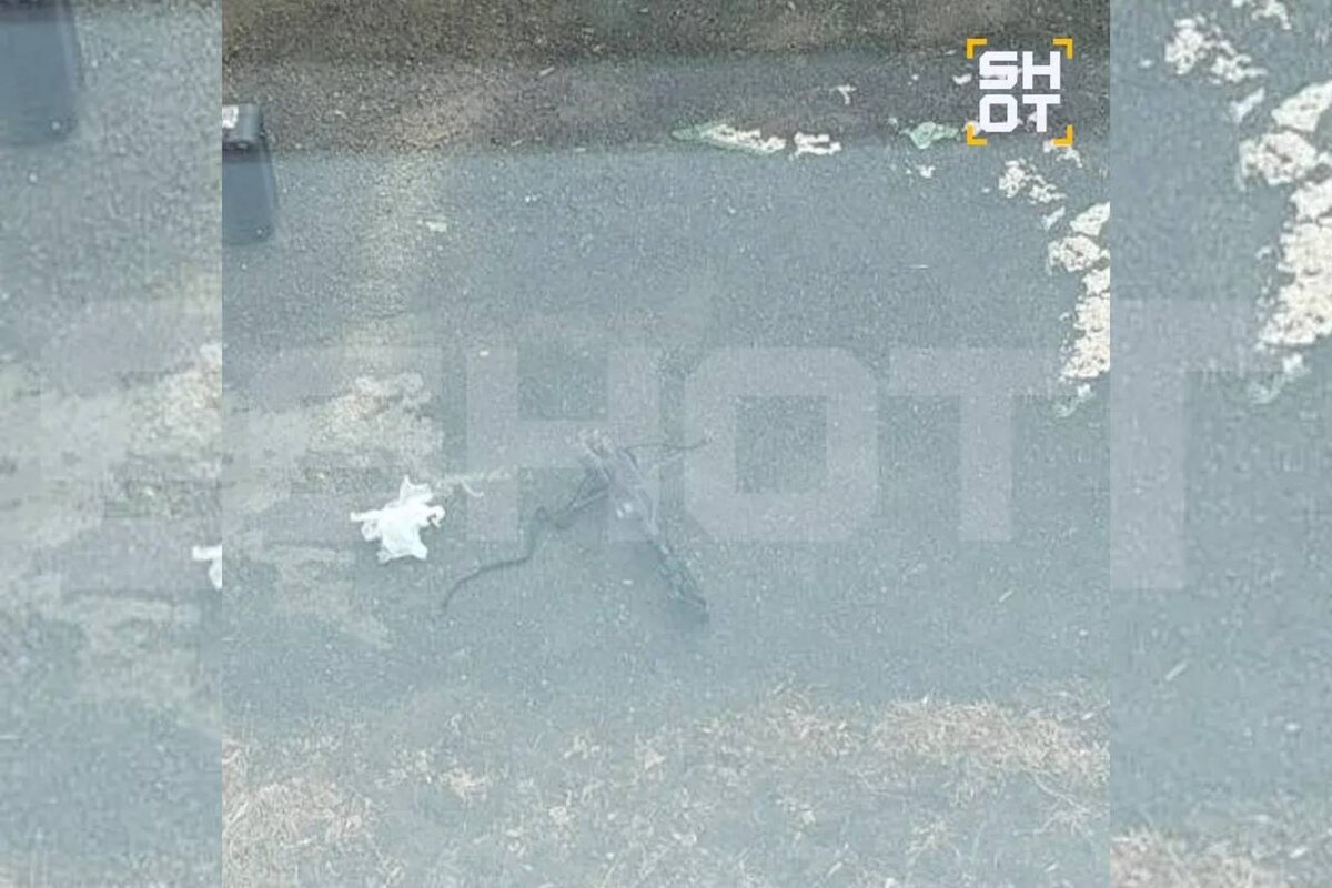    Школьник выстрелил из арбалета в одноклассницу в Челябинске