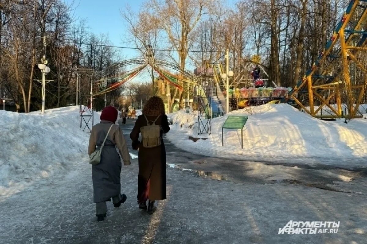    В парке появится новый аттракцион