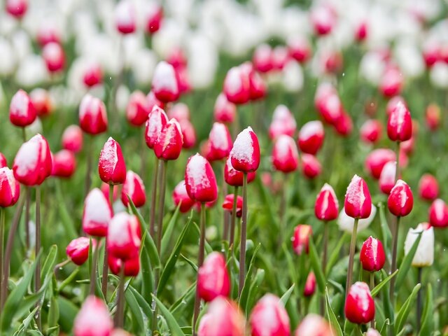    Фото: Москва 24/Лидия Широнина​