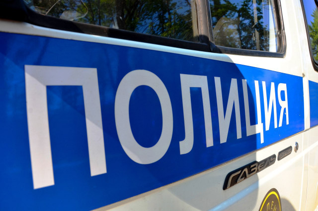    Фото: Денис Алфимцев