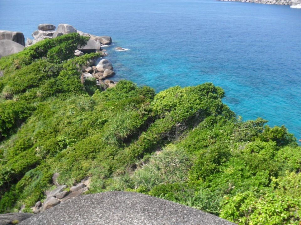    Таиланд. Источник: Олеся Веселкова / "Толк"