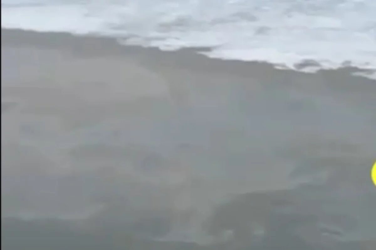    Маслянистые пятна на Амуре в Хабаровске попали на видео и вызвали проверку