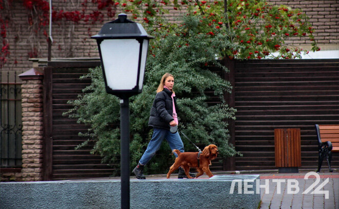    © Анастасия Илюшина / ЛенТВ24. Архивное фото