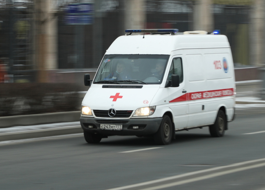    Наталья Шатохина/NEWS.ru